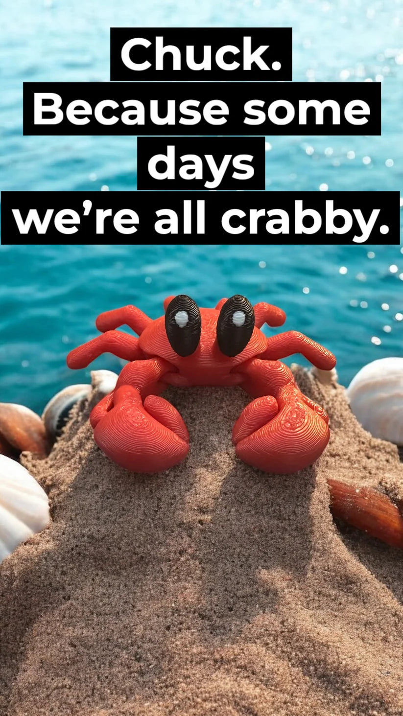 Chuck The Crab Fidget Toy