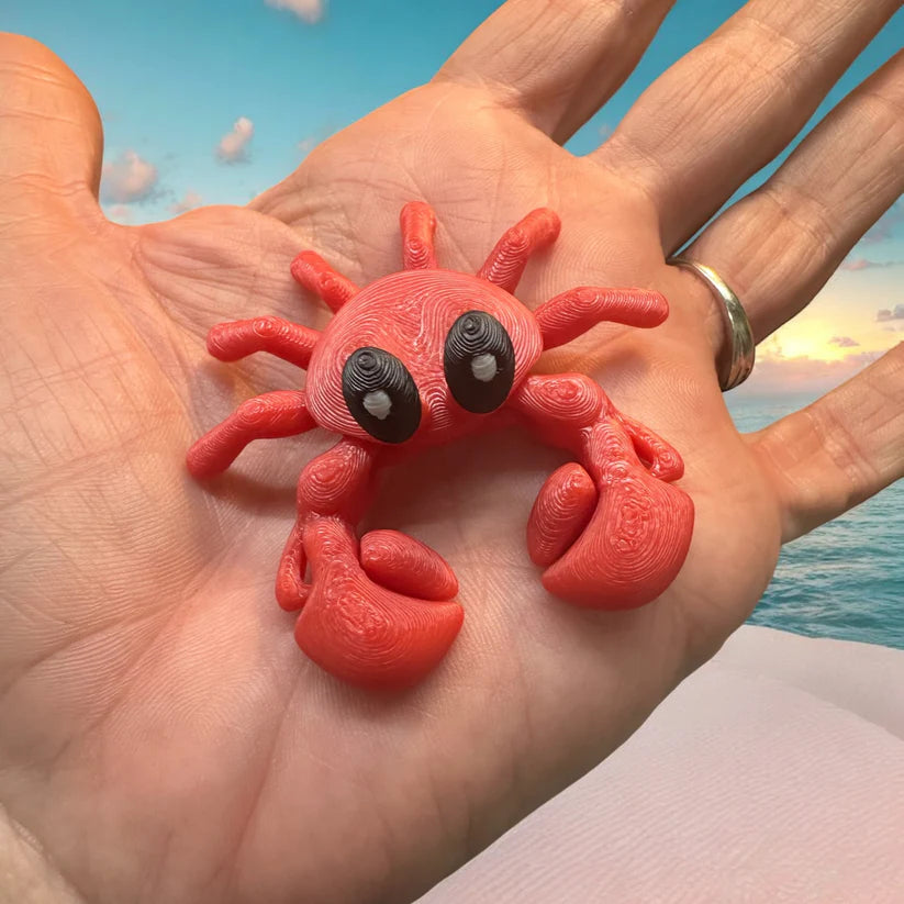Chuck The Crab Fidget Toy