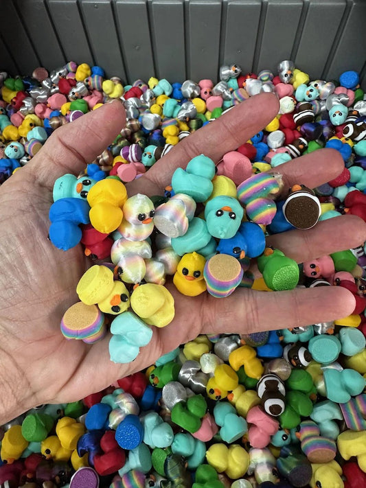 Bag Of Colorful Assorted Quacky Cruise Ducks