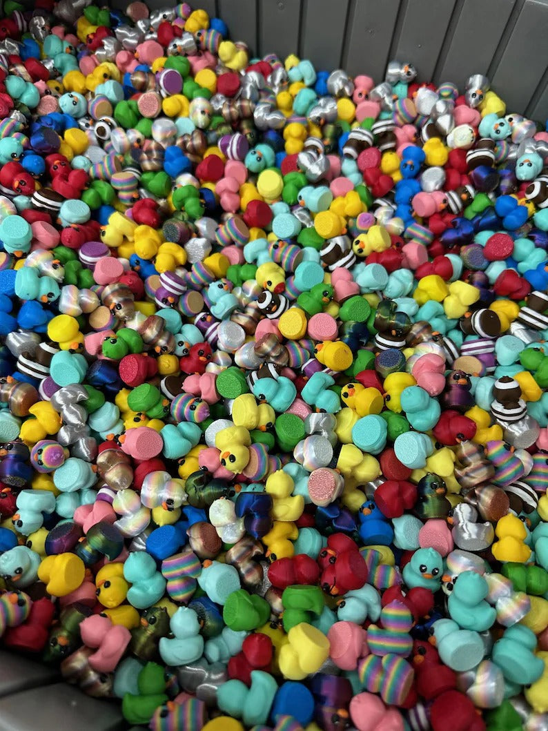 Bag Of Colorful Assorted Quacky Cruise Ducks